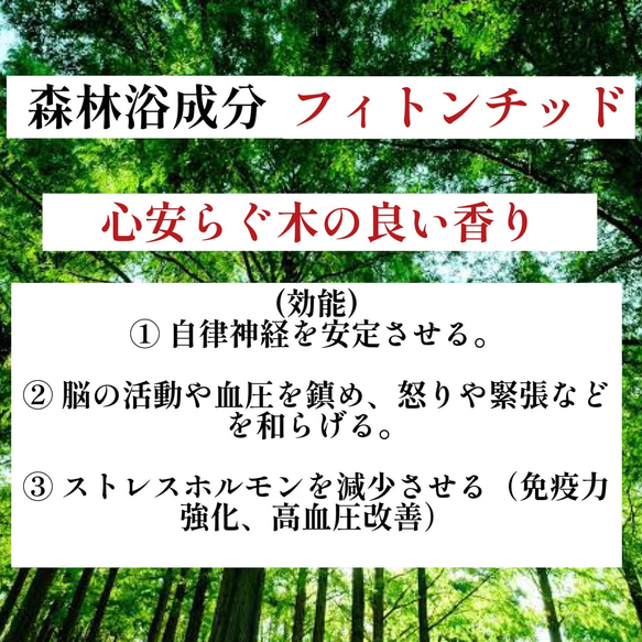 【再販・世界に1本だけ】長寿の木・屋久杉の万年筆　5010 5枚目の画像