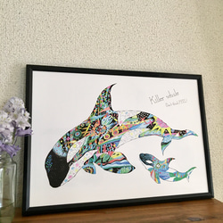 シャチ Killer whale ver.4   横バージョン/アートイラスト　ポスター　B4/A4/A3 3枚目の画像