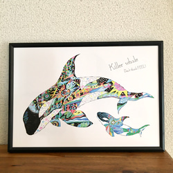 シャチ Killer whale ver.4   横バージョン/アートイラスト　ポスター　B4/A4/A3 2枚目の画像