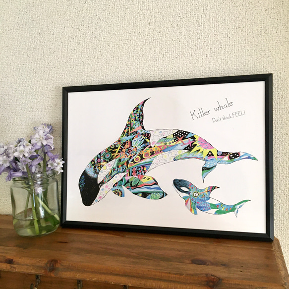 SWCJ ソル カイミール バッジ アートポスター シャチ Killer whale ver.4 横バージョン/アートイラスト