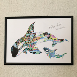 シャチ Killer whale ver.4   横バージョン/アートイラスト　ポスター　B4/A4/A3 4枚目の画像