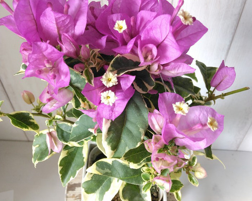 178355cdfbab27dc3ff6ce092177db