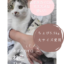 猫用あずきカイロ(小さいサイズ)　洗えるカバー付き　③ニュースペーパー白 8枚目の画像