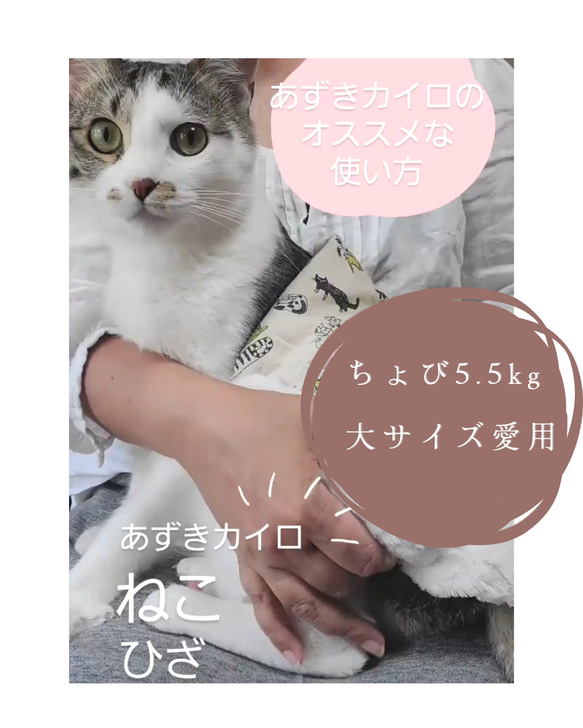 猫用あずきカイロ(小さいサイズ)　洗えるカバー付き　③ニュースペーパー白 8枚目の画像