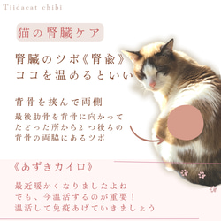 猫用あずきカイロ(小さいサイズ)　洗えるカバー付き　③ニュースペーパー白 5枚目の画像