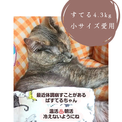 猫用あずきカイロ(小さいサイズ)　洗えるカバー付き　③ニュースペーパー白 7枚目の画像