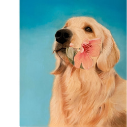 うちの子／犬の肖像画240mm×／額縁付き 4枚目の画像