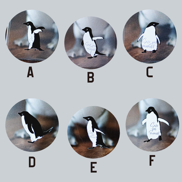 第一隻企鵝 iPhone 手機殼，智慧型手機殼，適用於 iPhone 17+，簡約透明，單點設計，安卓 第8張的照片