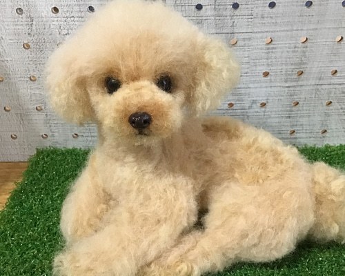 31bb005abae652541b957695116875