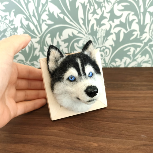 【逸品】 羊毛フェルト 羊毛フェルト シベリアンハスキーさんフレーム 羊毛フェルト