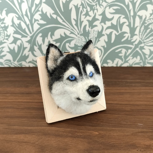 羊毛フェルト シベリアンハスキーさんフレーム 羊毛フェルト 羊毛