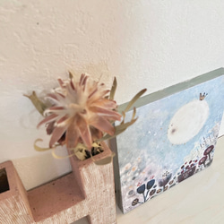 音楽の18cm  panel ・太陽のくちぶえ 3枚目の画像