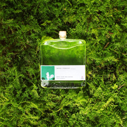 FOREST(森林)天然精油 Nature Fragrance 110ml ディフューザー 1枚目の画像