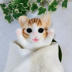 茶トラ白猫  　　羊毛フェルト 9枚目の画像