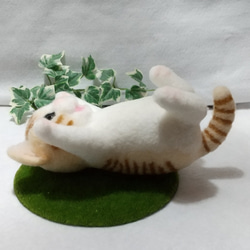 茶トラ白猫  　　羊毛フェルト 6枚目の画像