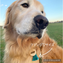 ✨NEW✨中型犬・大型犬サイズ▼・ᴥ・▼ナチュラルな木の質感にフリンジカラーが映える木製ネームタグ/迷子札 2枚目の画像