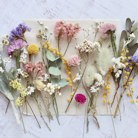 ドライフラワー 花材 小花の詰め合わせ 67 ハンドメイド花材】繊細！小さな小花の花材セット その他素材 fuu 通販
