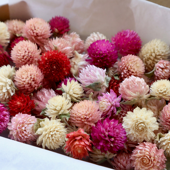 【ハンドメイド花材】繊細！小さな小花の花材セット 10枚目の画像