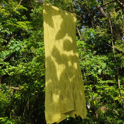 再販★屋久島の草木染めリーフ柄シルクニットストール（ノニンジンの若草色） 3枚目の画像