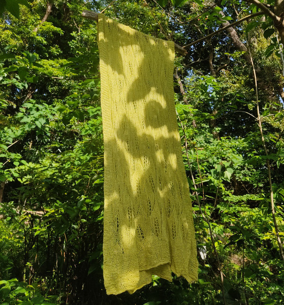 再販★屋久島の草木染めリーフ柄シルクニットストール（ノニンジンの若草色） 3枚目の画像