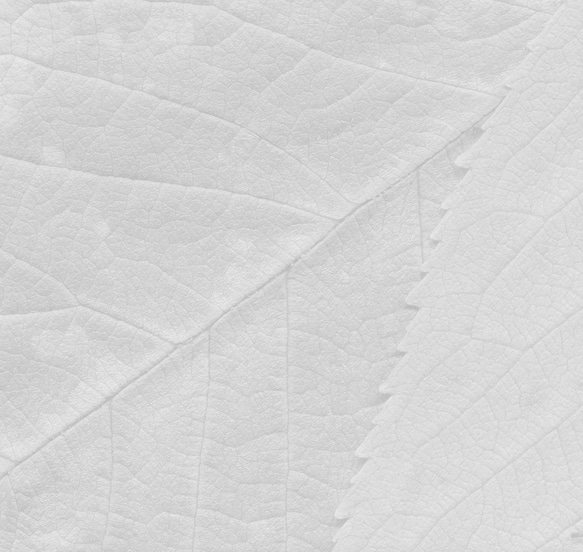 正方形キャンバスパネル Black&White Leaves 3枚セット　北欧和モダン アートパネルでお部屋の模様替え 9枚目の画像