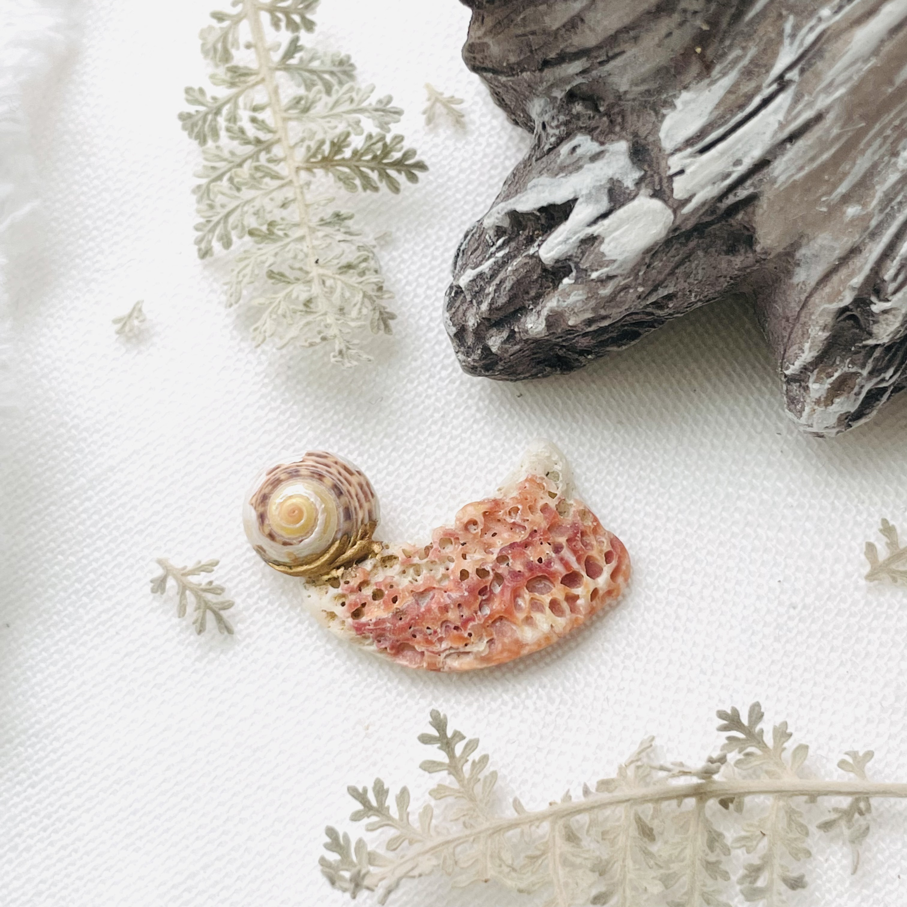 mar_Japon_ajigaura_0002