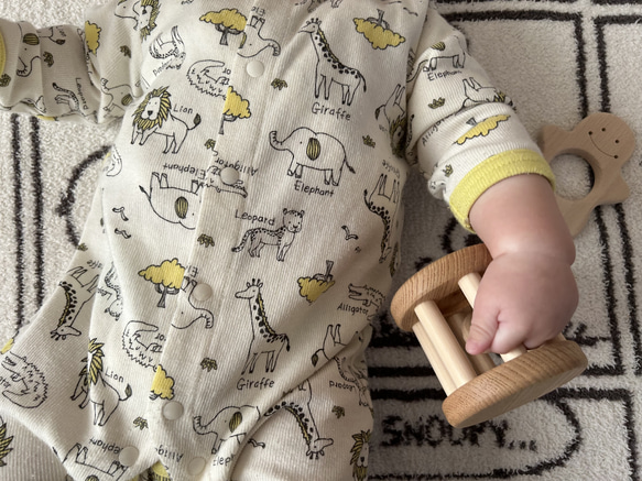 木のおもちゃ　コロコロ(木球入り) 3枚目の画像