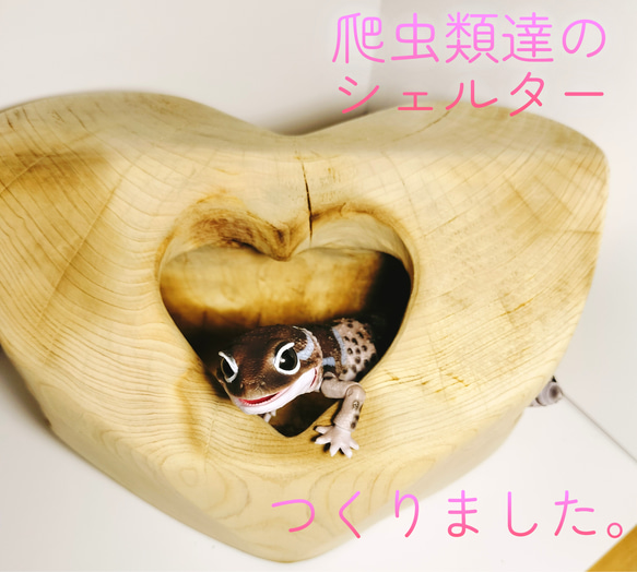 木 彫刻】ハート型❤︎シェルター。爬虫類の隠れ家、レイアウト ゲージ