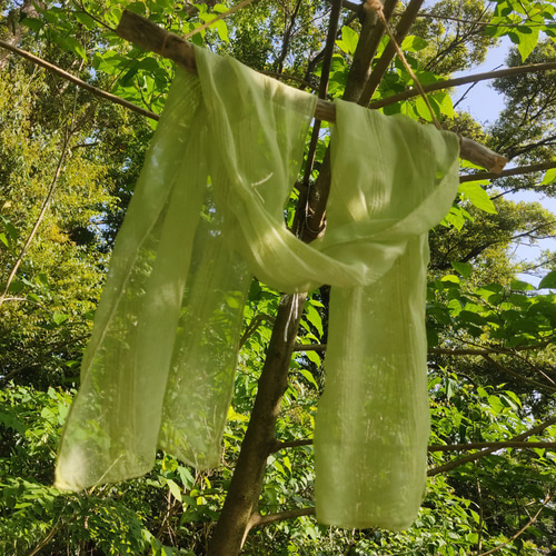 未使用品　トールサイズ　草木染め　４点フルセット　色無地　作家物　正絹 再販□屋久島の草木染めシルクストール縞格子（パッションフルーツ染め