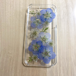 【ネモフィラ】押し花 iPhone 5・5s・SEケース 1枚目の画像