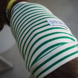 犬服　おててがかわいく見えるボーダ袖付きカットソー　ホワイト×グリーン 8枚目の画像