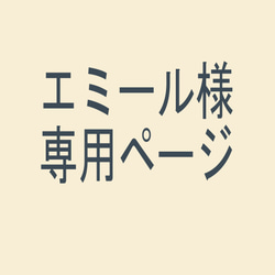 エミール様専用ページ 1枚目の画像