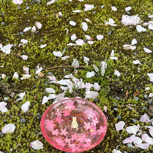 レジンで作った猫と桜満開の小皿or小物入れ その他雑貨 和柄屋さくら