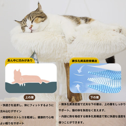 無垢材キャットタワー　北欧風 木製 天然木 ペット家具　キャットベッド(翌日発送可能） 7枚目の画像