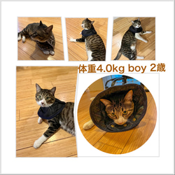 relax&floating＊エリザベスカラー＊cats&dogs 小型用2枚限定　ポリエステルキルティング3段調節付き 14枚目の画像