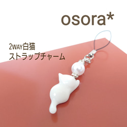 花束♡白猫ちゃん♡パーツやチャームに♪ ねこくみゃちゃんからのPresent Ribbon | BABY, THE STARS SHINE BRIGHT