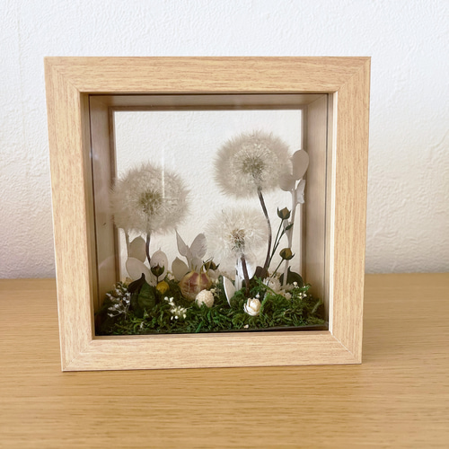 タンポポ綿毛フレーム ドライフラワー 【送料一部負担】⭐︎受注制作