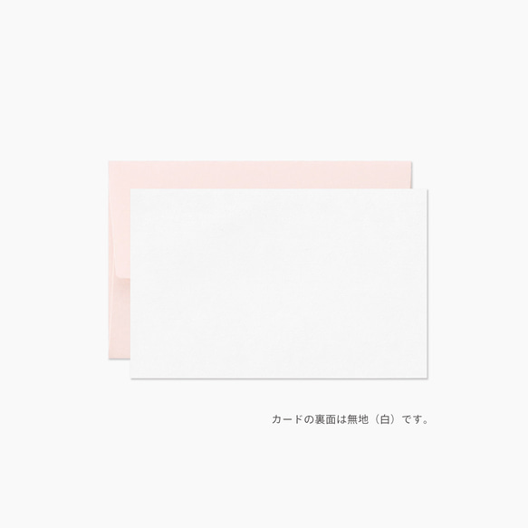 メッセージカードセット［mini］Baby Pink 2枚目の画像