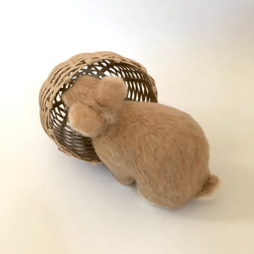 うさぎ 羊毛フェルト ネザーランドドワーフ ミニうさぎ オレンジ 羊毛
