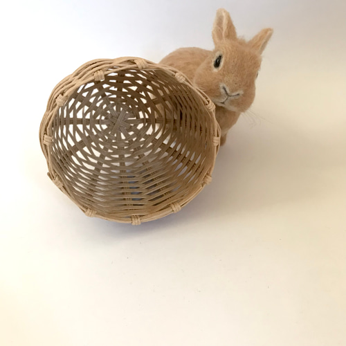 うさぎ 羊毛フェルト ネザーランドドワーフ ミニうさぎ オレンジ 羊毛
