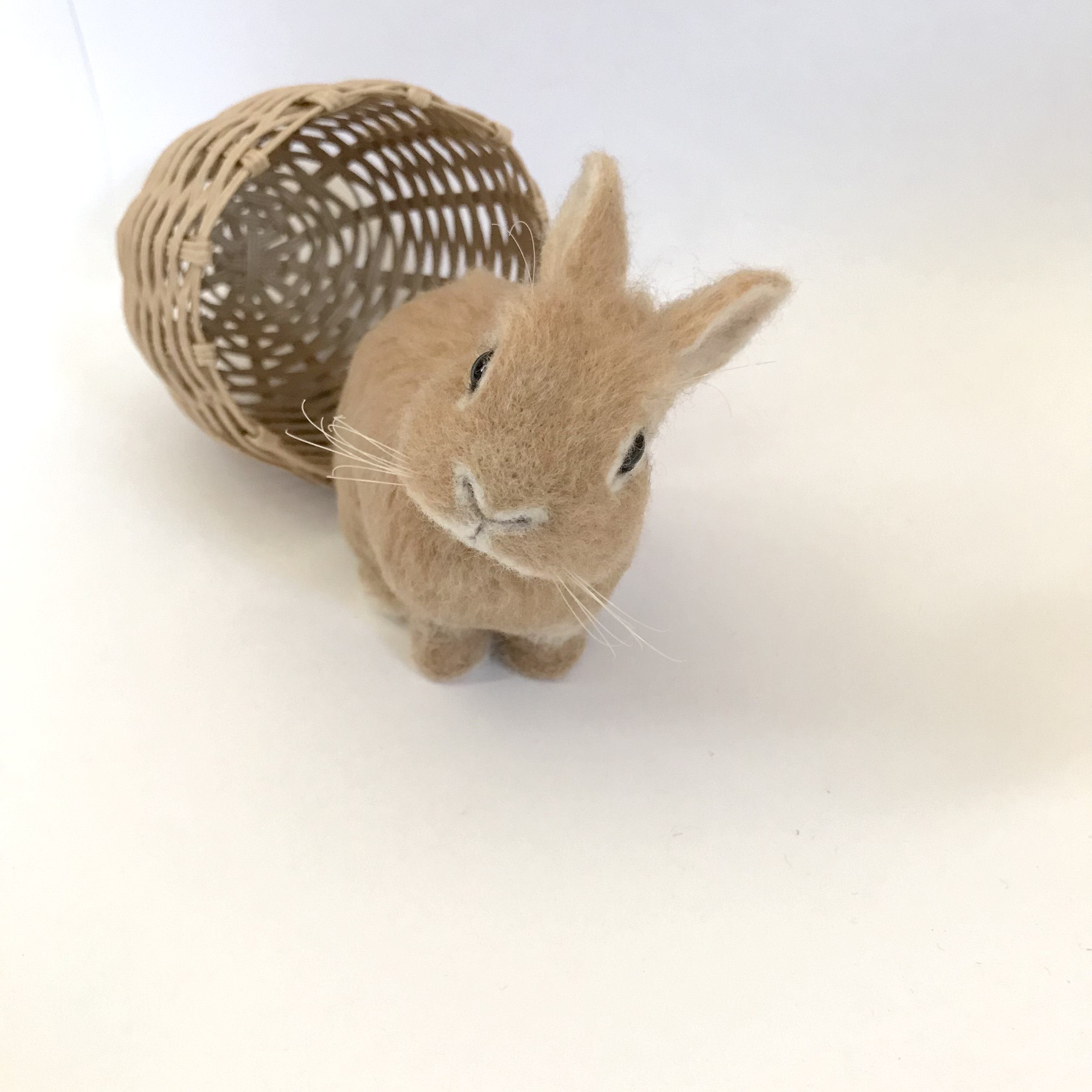 うさぎ　テイスファルト2枚