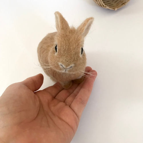 送料無料】羊毛フェルト うさぎ ネザーランドドワーフ