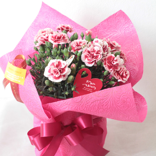 ⑫ギフト 母の日 プレゼント カーネーション ラッピング 無料 