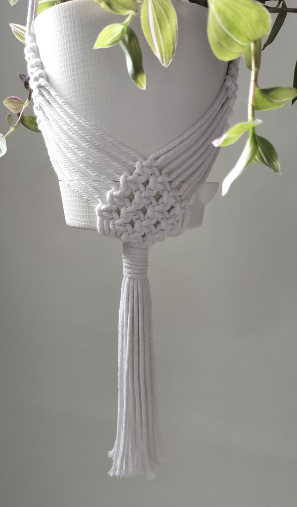 プラントハンガー　マクラメ　マクラメ編み　ホワイト　観葉植物　ハンギング　吊り下げ植物　オルレア　トラディスカンティア 4枚目の画像