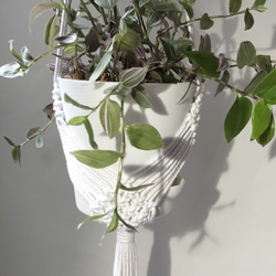プラントハンガー　マクラメ　マクラメ編み　ホワイト　観葉植物　ハンギング　吊り下げ植物　オルレア　トラディスカンティア 2枚目の画像