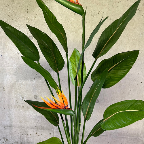 光触媒 人工観葉植物 ウォールグリーン フェイクグリーン ストレッチア