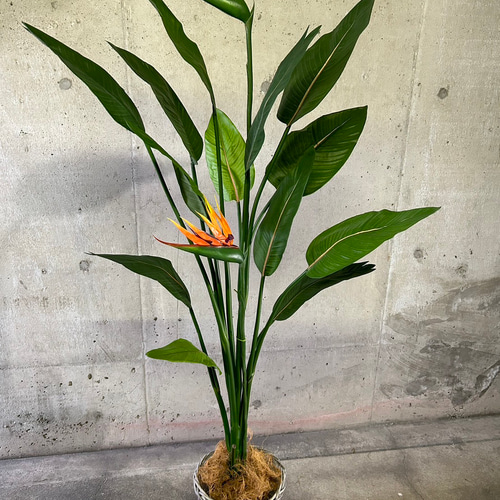 光触媒 人工観葉植物 ウォールグリーン フェイクグリーン ストレッチア