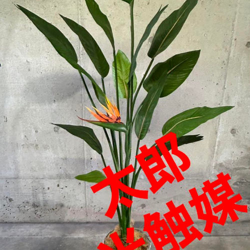 光触媒 人工観葉植物 ウォールグリーン フェイクグリーン