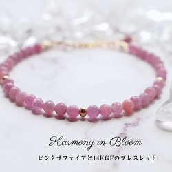 Harmony in Bloom　ピンクサファイアと14KGFのブレスレット 1枚目の画像