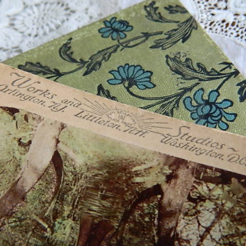 ✿1901年撮影のノスタルジックなステレオビューカード 立体写真 その他